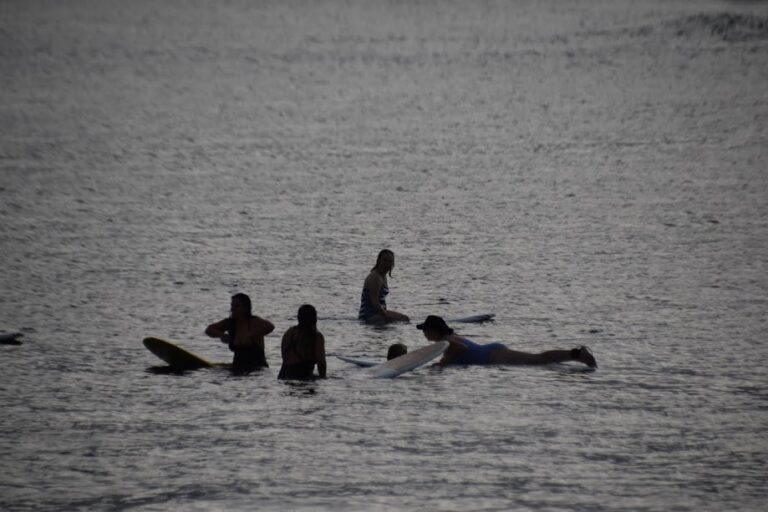 surfers in the water